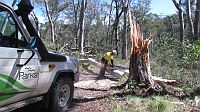 14-Ranger clears another fallen tree on the Tingaringy Track